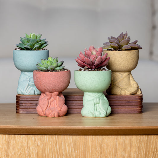 Small Glazed Ceramic Planter - "Little Buddha"