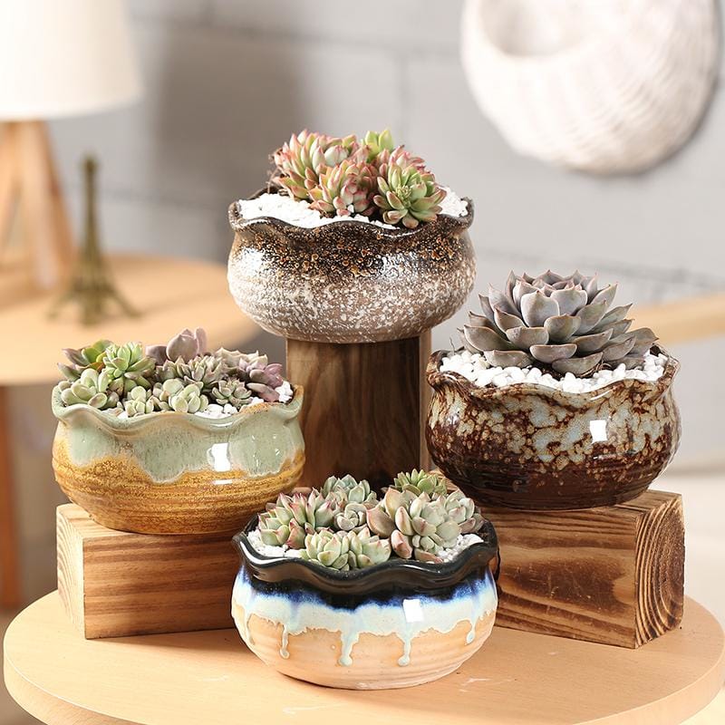 succulent pots nz Medium Glazed Ceramic Pots & Planters