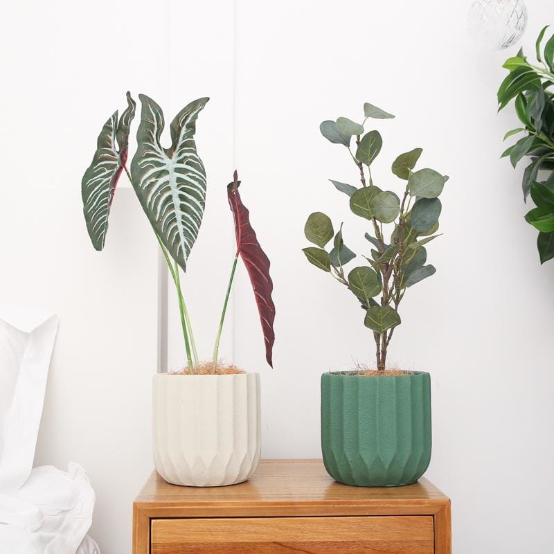 Minimalism stripe cement pots/planters | plant pots