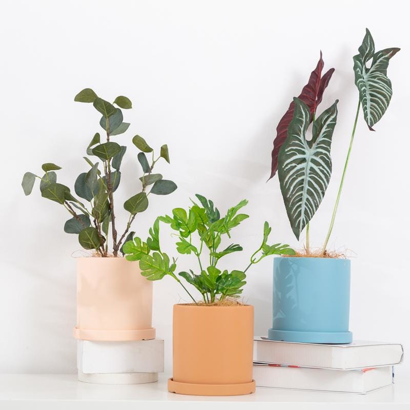 indoor plant pots nz Oslo Style Stoneware Plant Pots