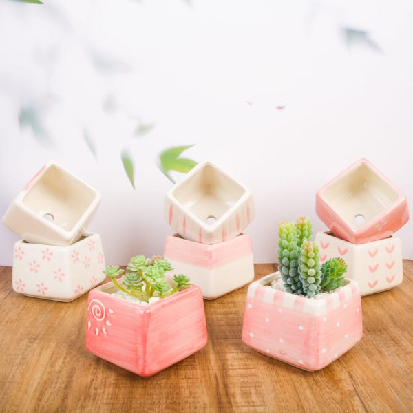 Square glazed ceramic plant pots | plant pots