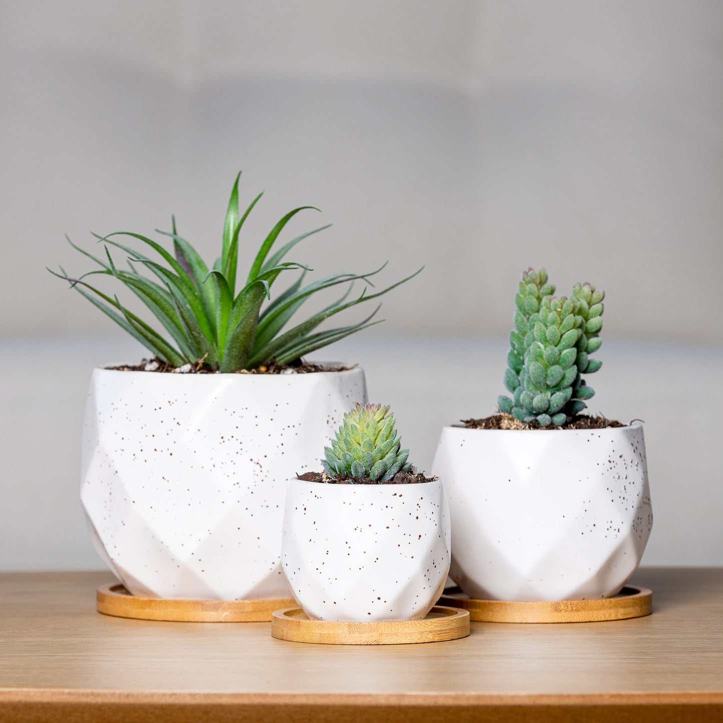 Glazed Ceramic Planter - "Macaron" - 3 Pieces Set with Saucers