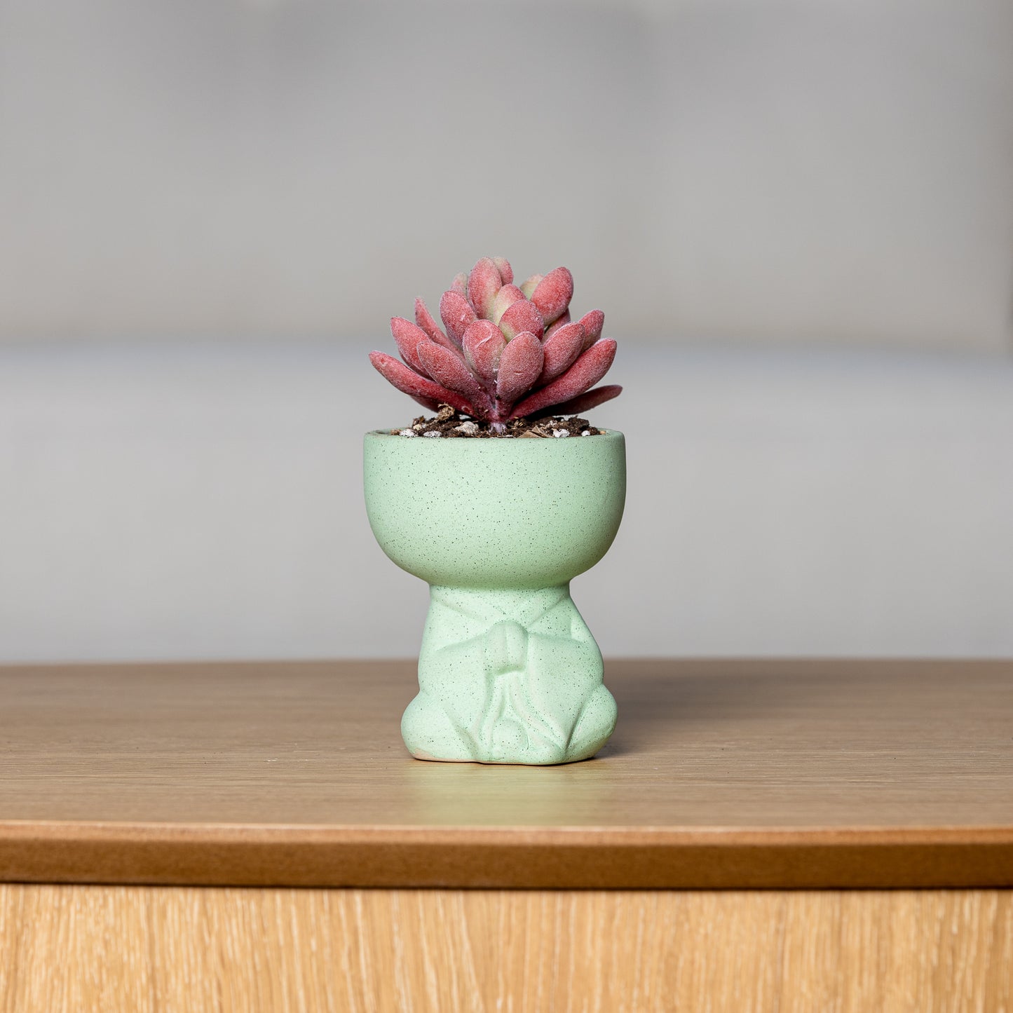 Small Glazed Ceramic Planter - "Little Buddha"