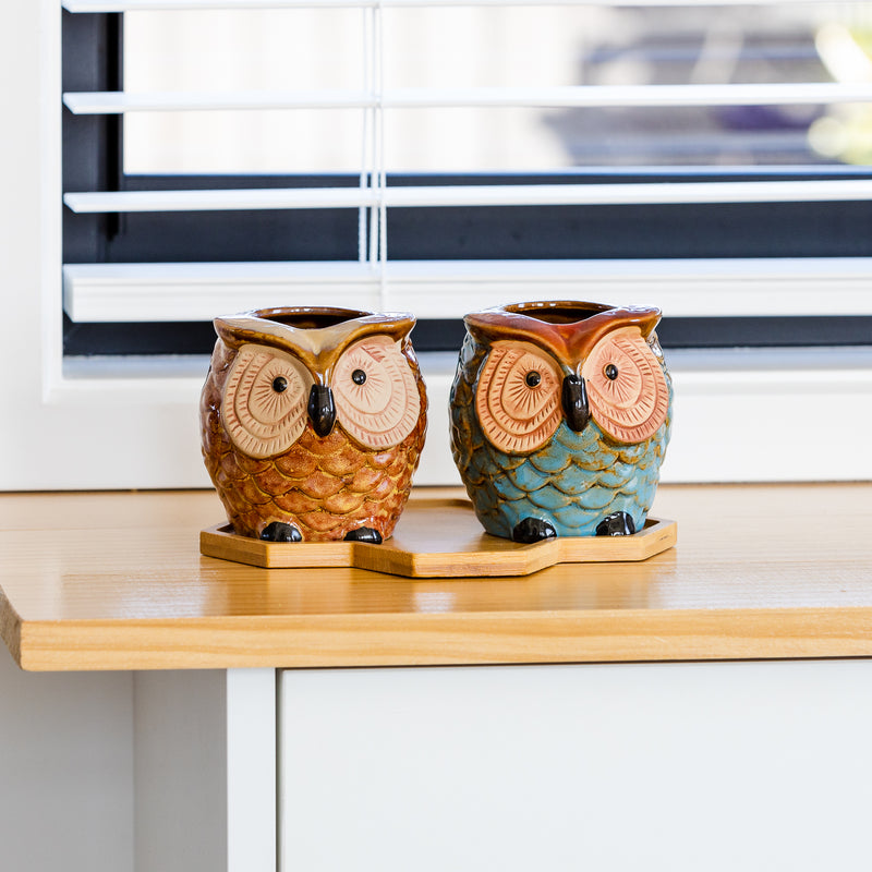 Small Glazed Ceramic Planter - "Owl"