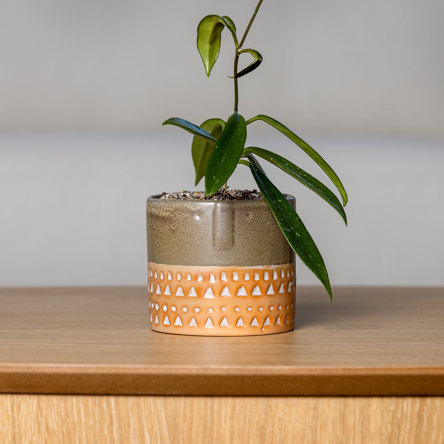 Two-tone Glazed Terracotta Pots with Polynesian Patterns