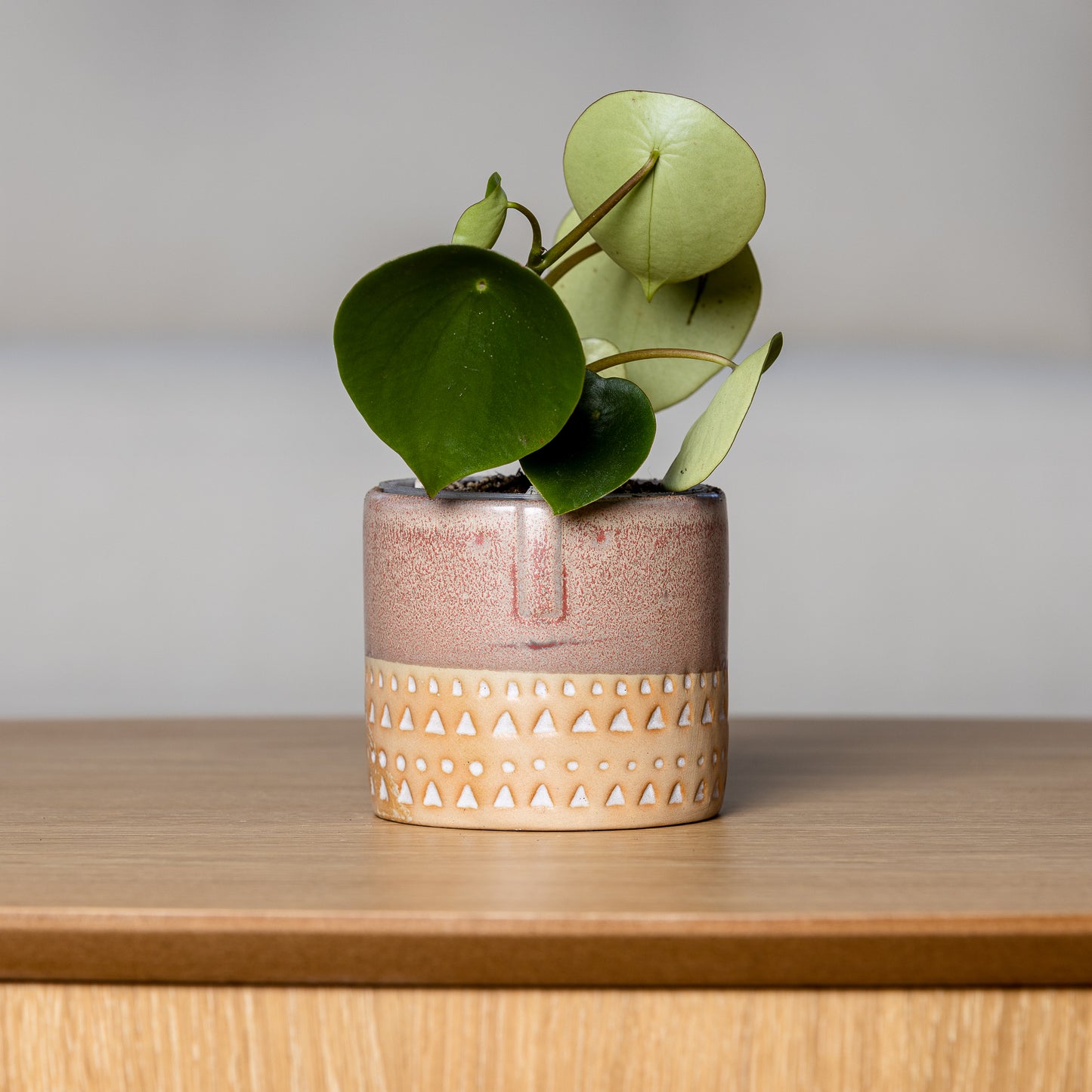 Two-tone Glazed Terracotta Pots with Polynesian Patterns