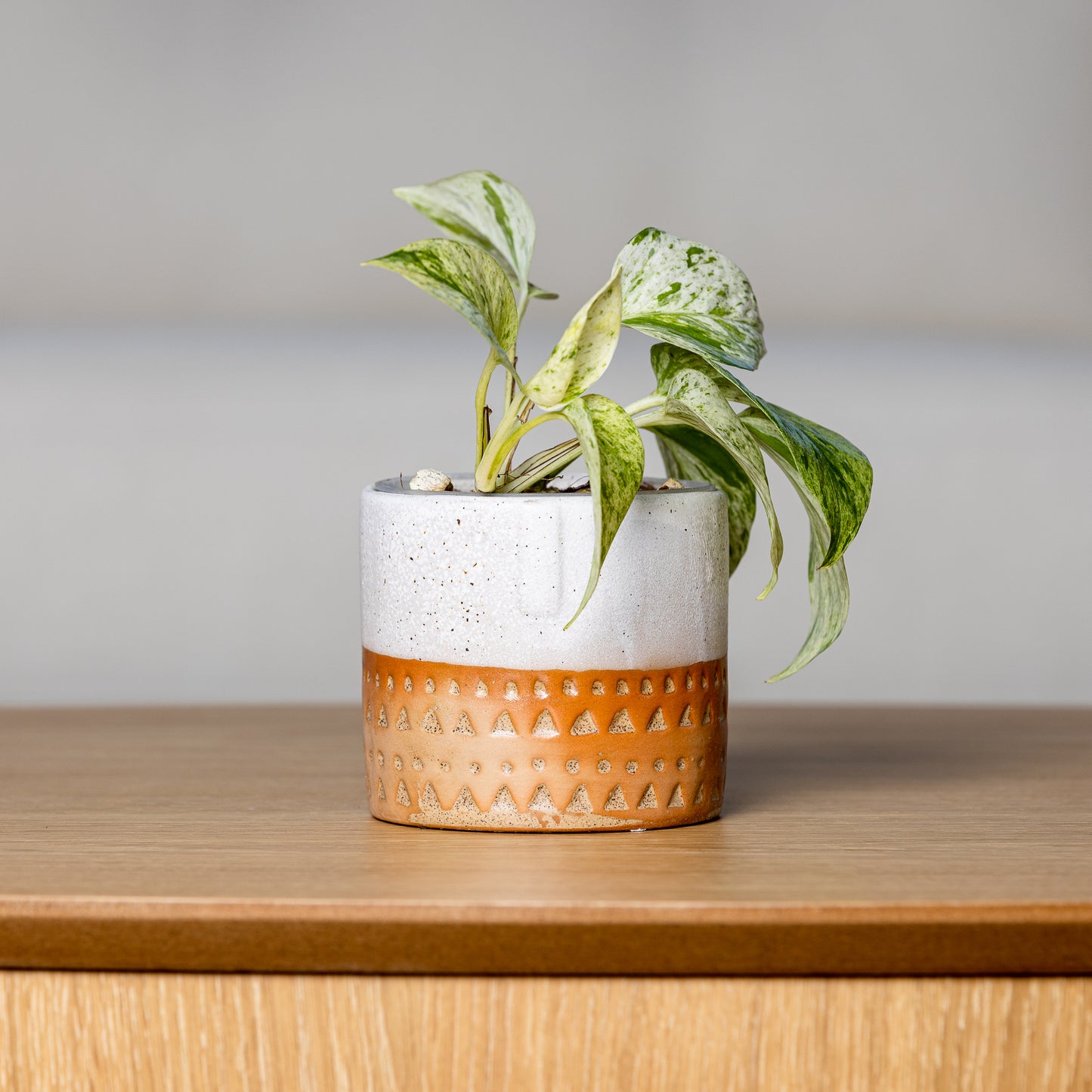 Two-tone Glazed Terracotta Pots with Polynesian Patterns