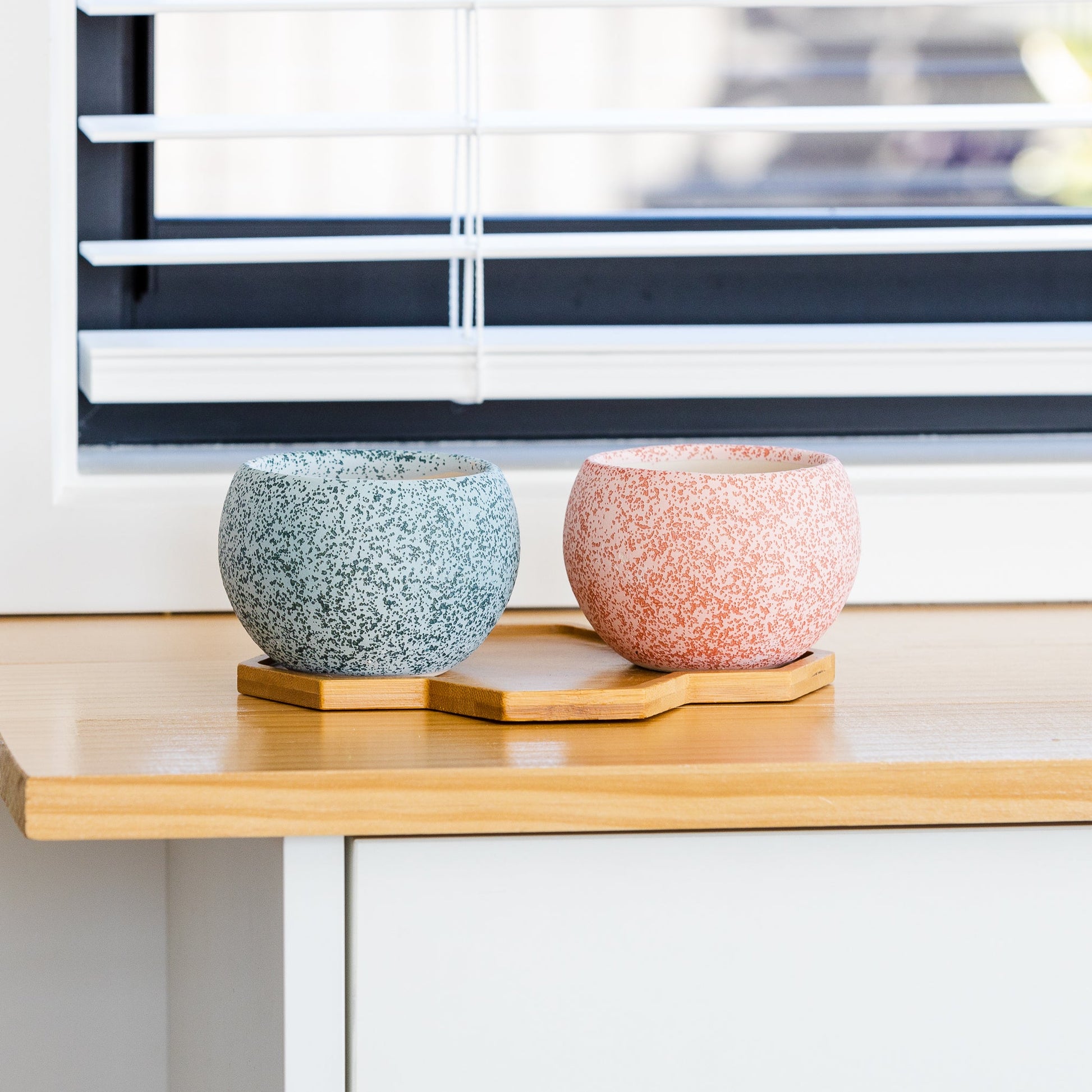 ceramic planter pots nz Small Ceramic Pots | Ceramic Plant Pots