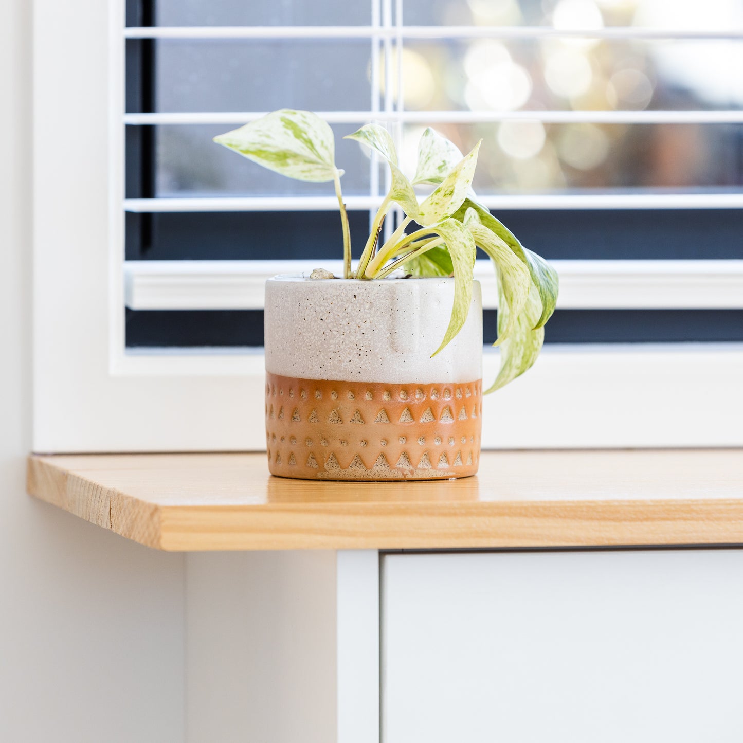 Two-tone Glazed Terracotta Pots with Polynesian Patterns