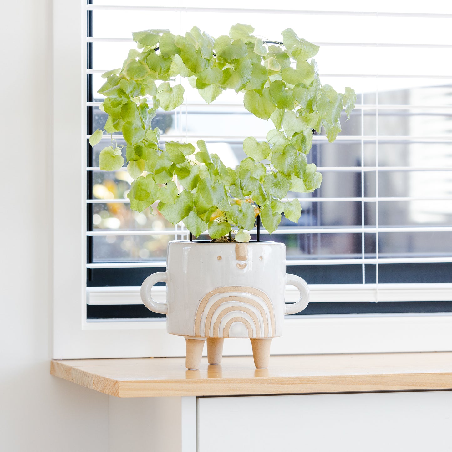 Footed Rainbow Planter