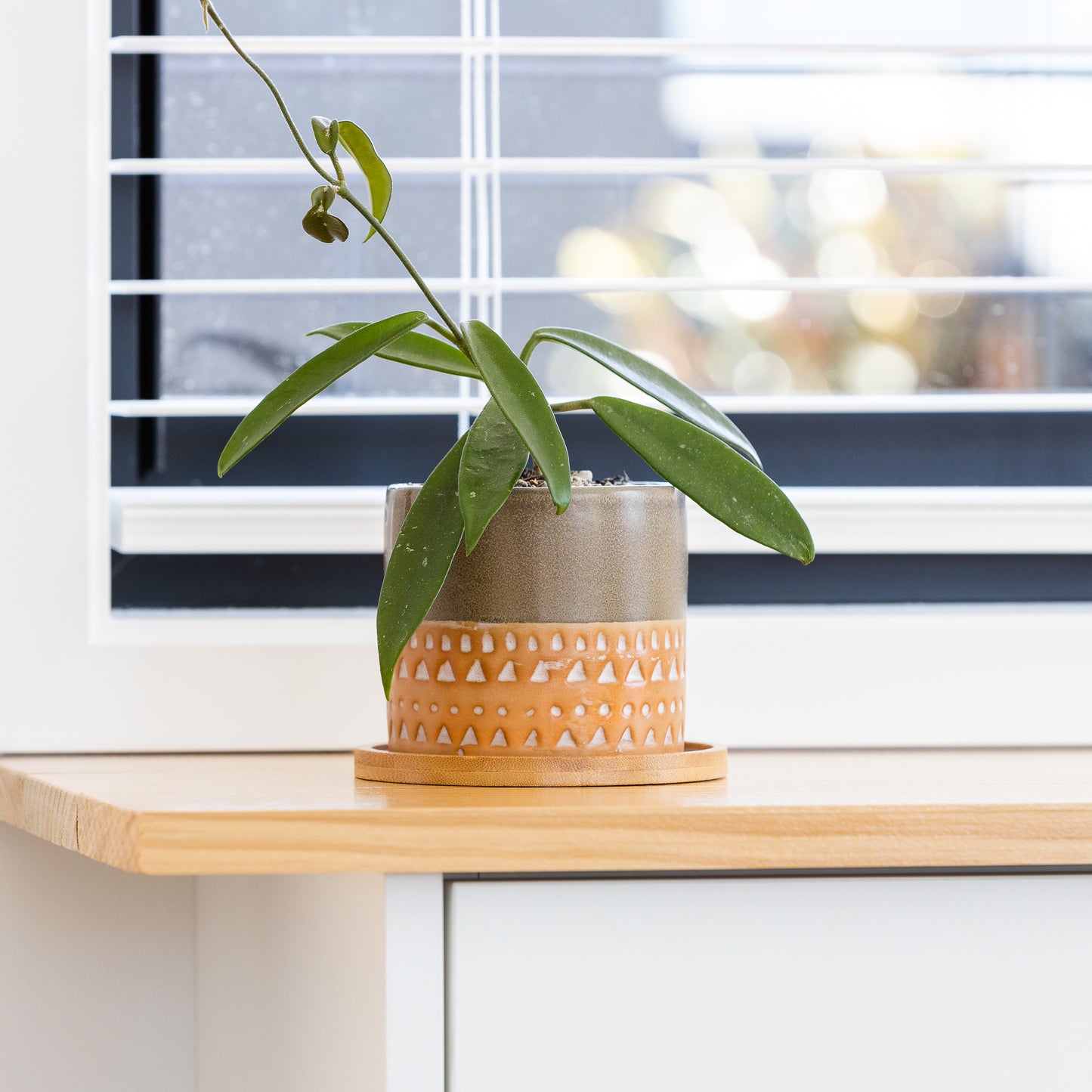 Two-tone Glazed Terracotta Pots with Polynesian Patterns