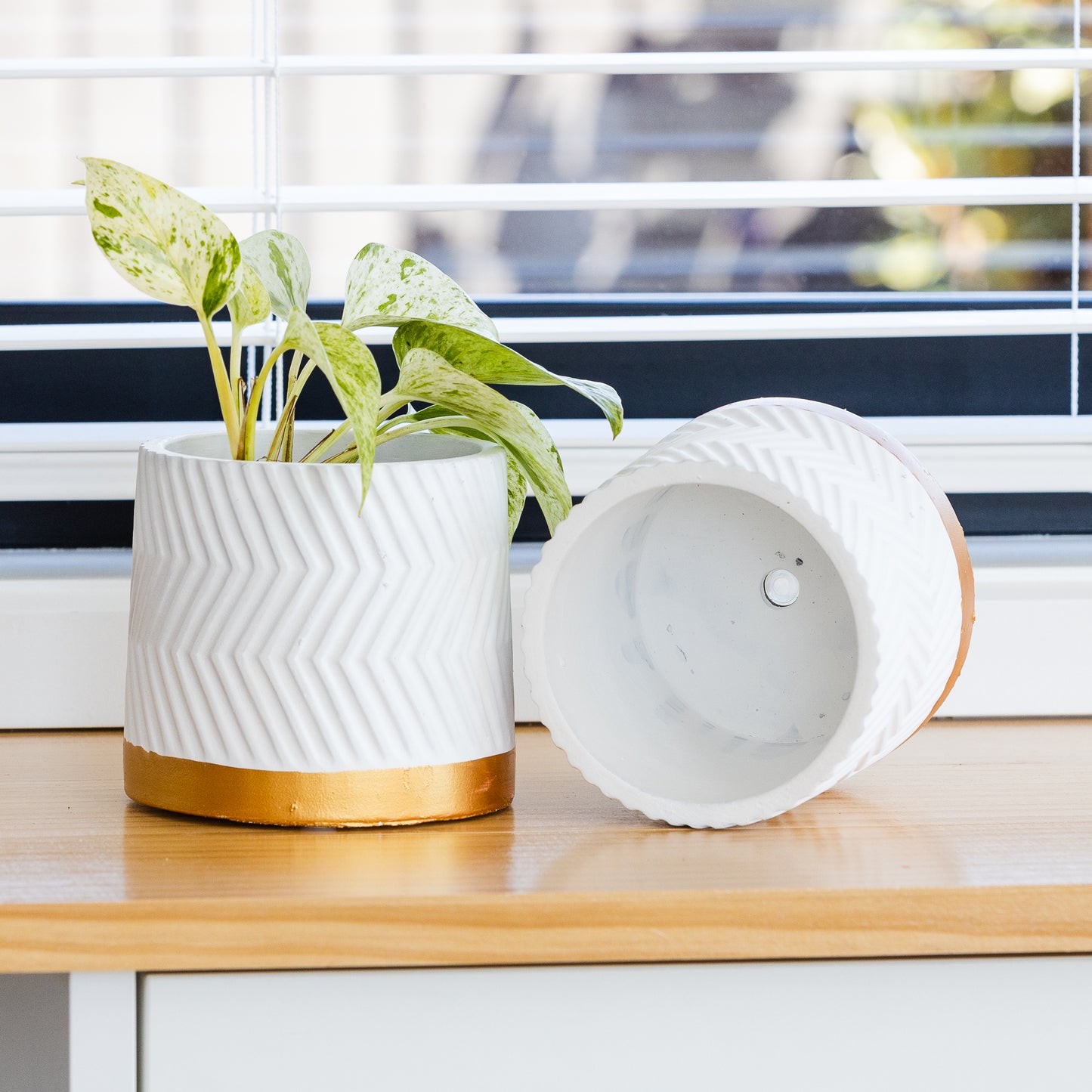 Geometric Texture Planters