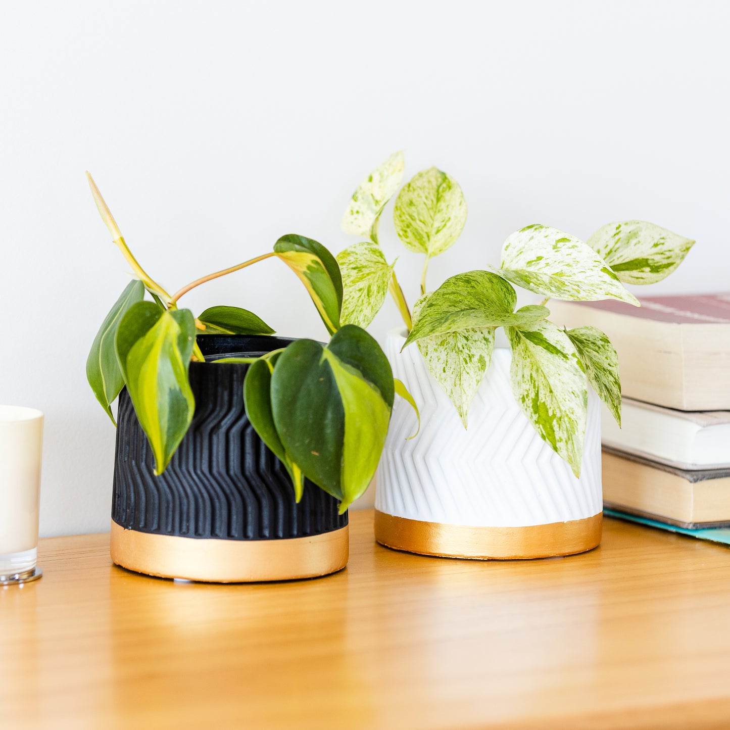 Geometric Texture Planters