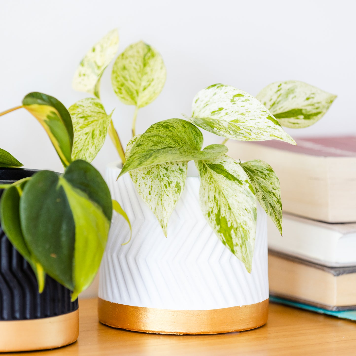 Geometric Texture Planters