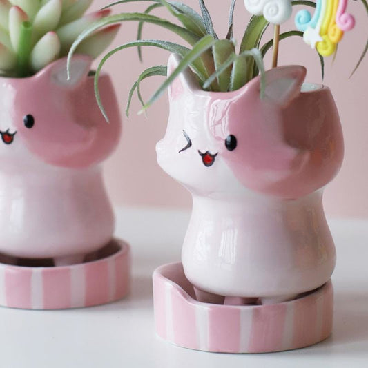 Ceramic pots/planters - kitty | plant pots