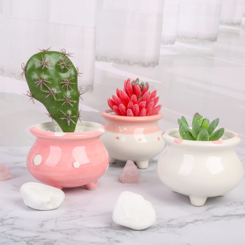 Glazed ceramic plant pots - small footed pots | plant pots