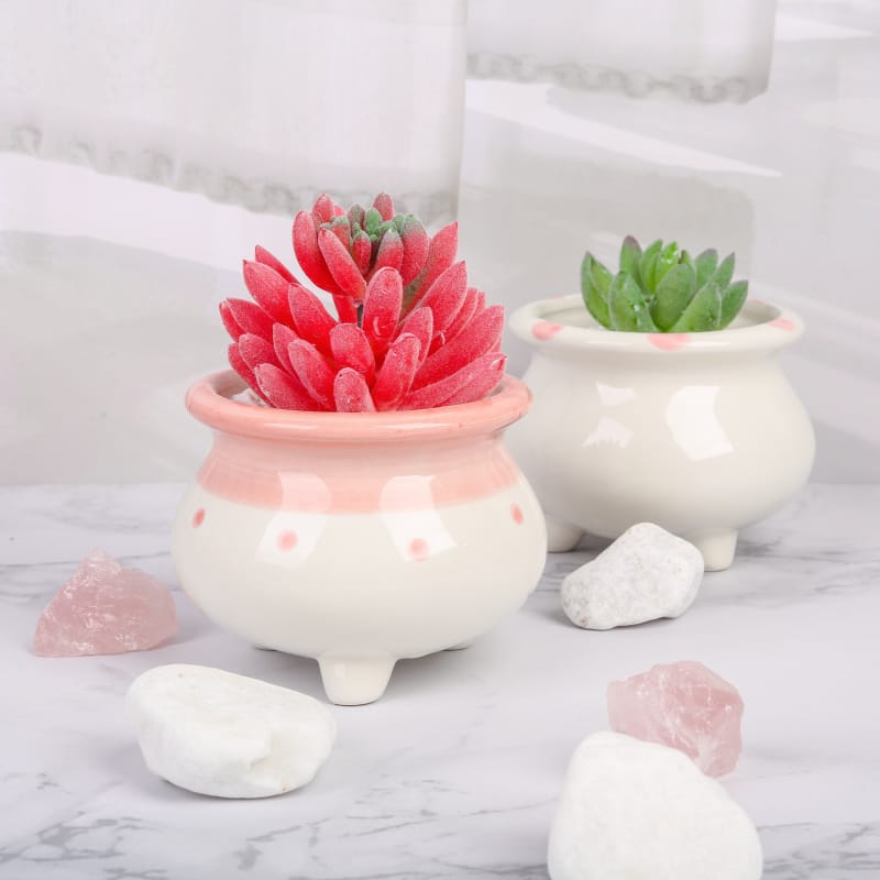 Glazed ceramic plant pots - small footed pots | plant pots