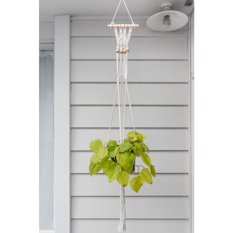 Macrame plant hanger - a | plant pots