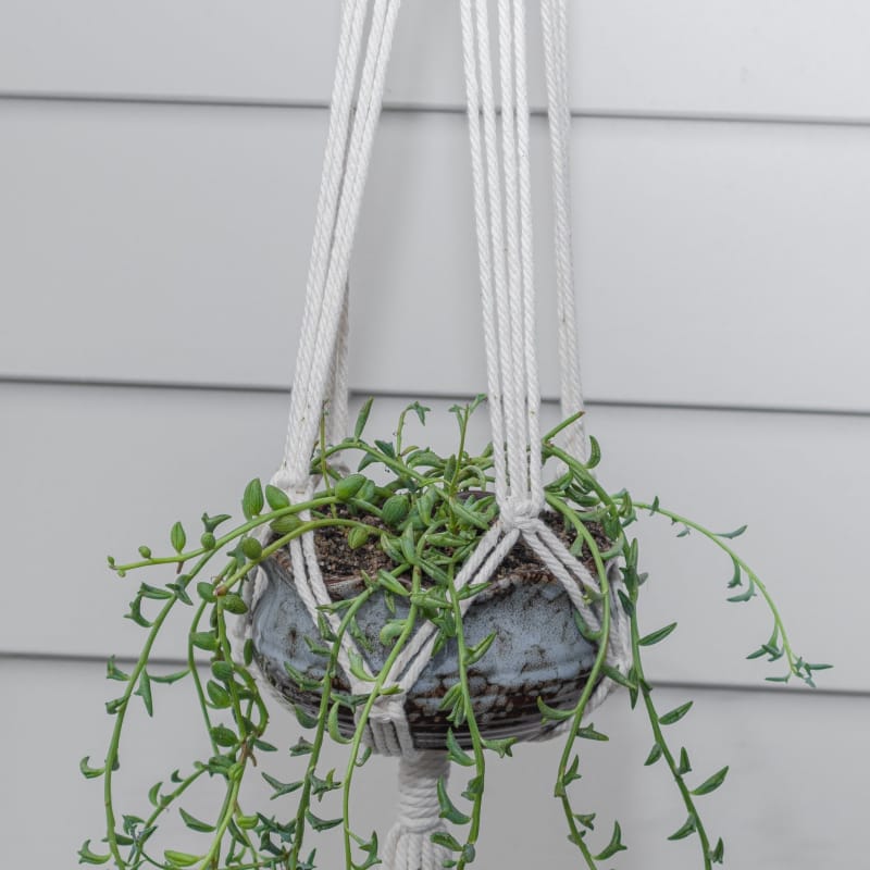 Macrame plant hanger - b | plant pots