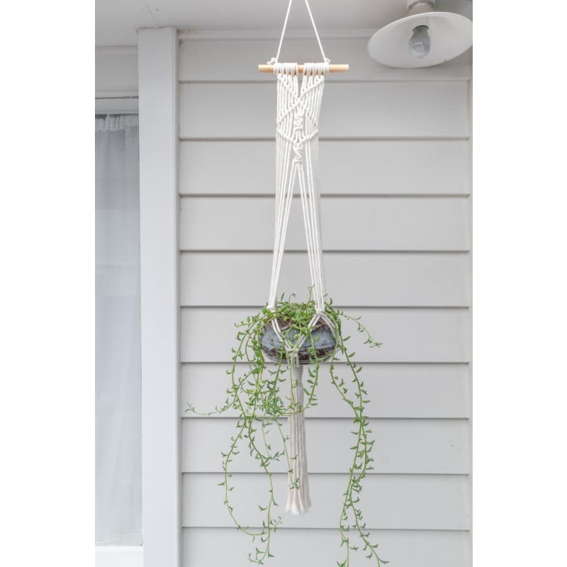 Macrame plant hanger - b | plant pots