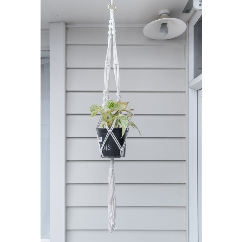 Macrame plant hanger - c | plant pots