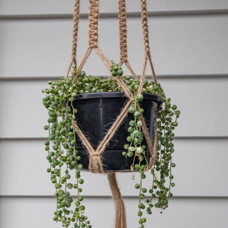 Macrame plant hanger - d | plant pots