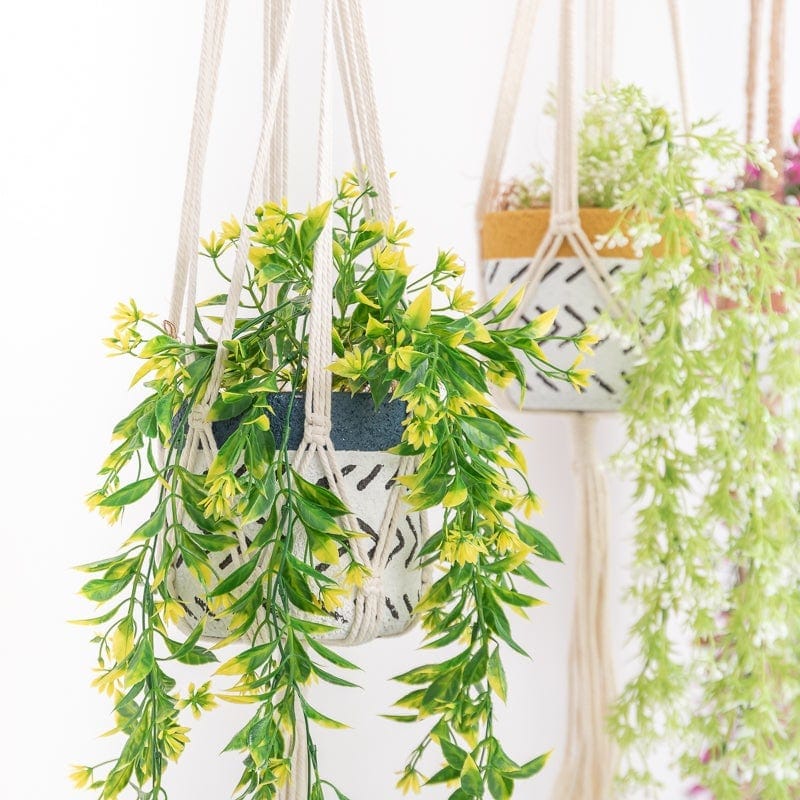 Macrame plant hanger - e | plant pots