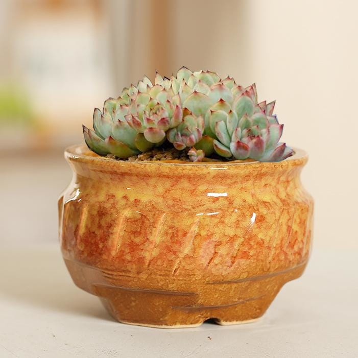 Medium ceramic pot/planter - mosaic | plant pots