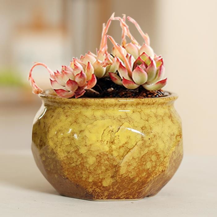 Medium ceramic pot/planter - mosaic | plant pots