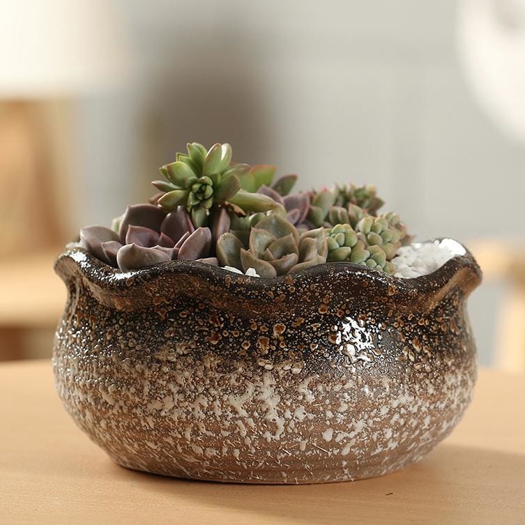 Medium glazed ceramic pots/planters | plant pots