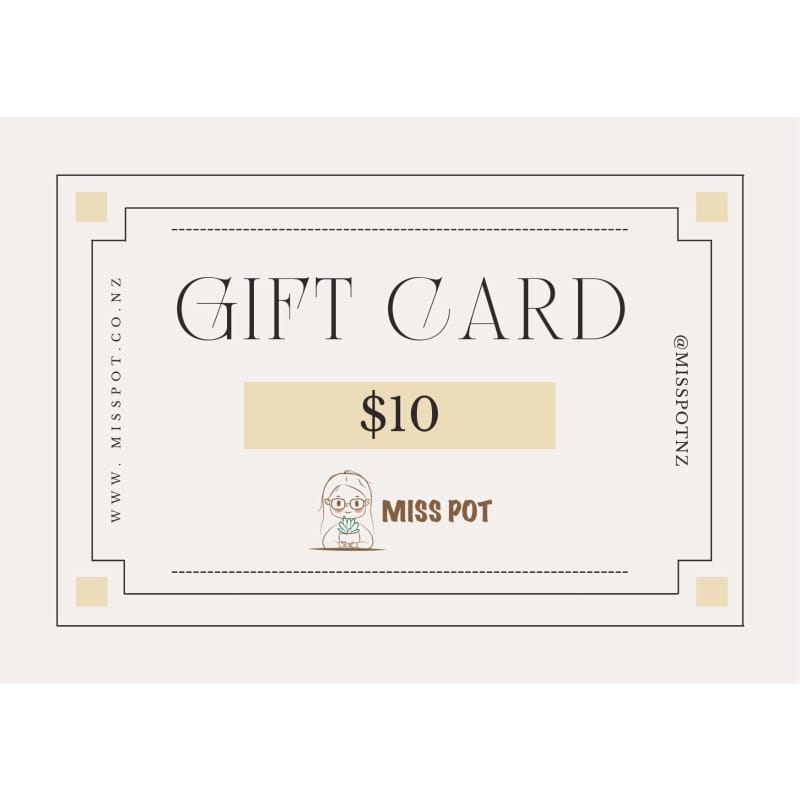 Online gift card | plant pots