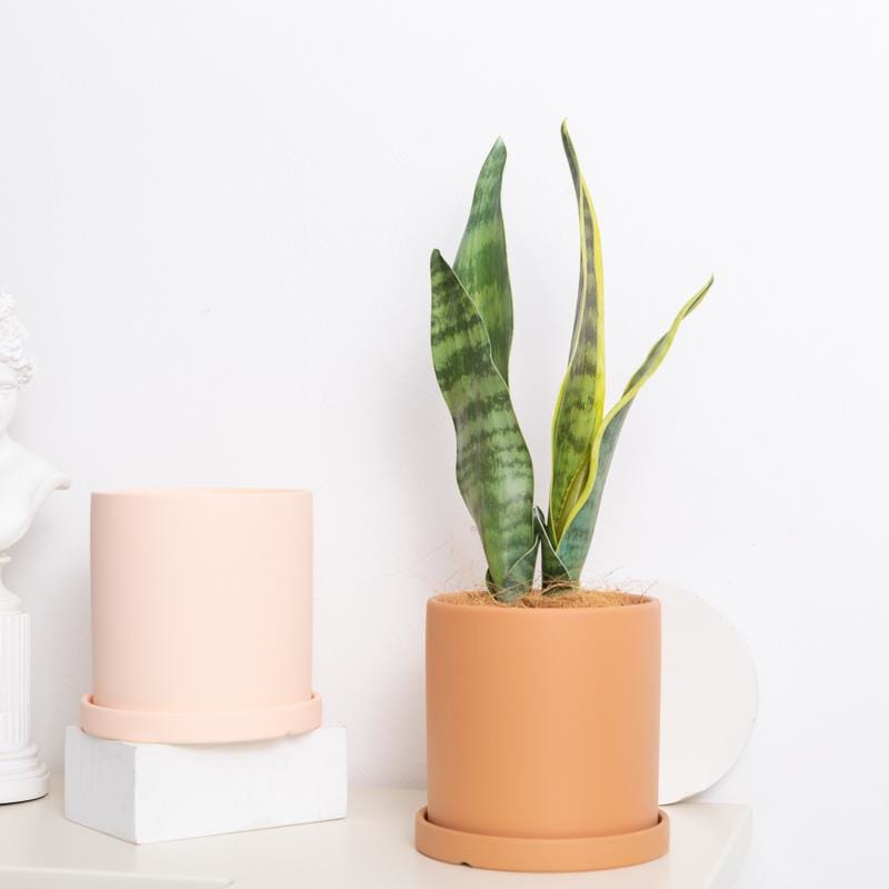 Scandi-industrial style pots/planter | plant pots