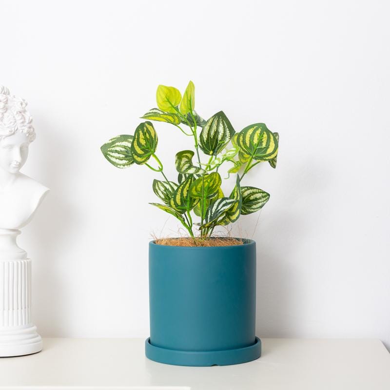 Scandi-industrial style pots/planter | plant pots