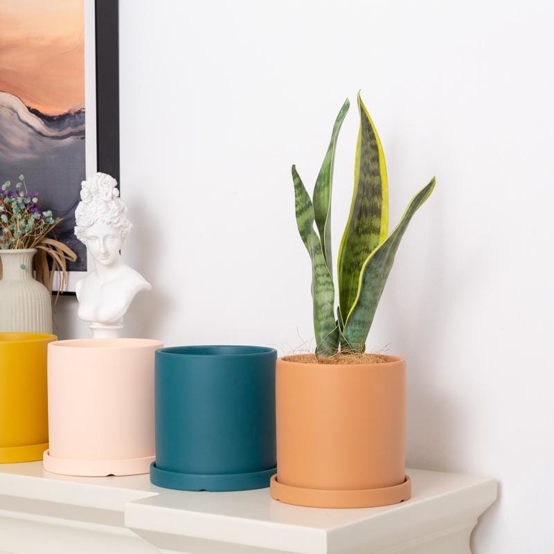 Scandi-industrial style pots/planter | plant pots