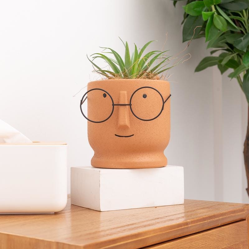 Plant nerd ceramic pots/planters | plant pots