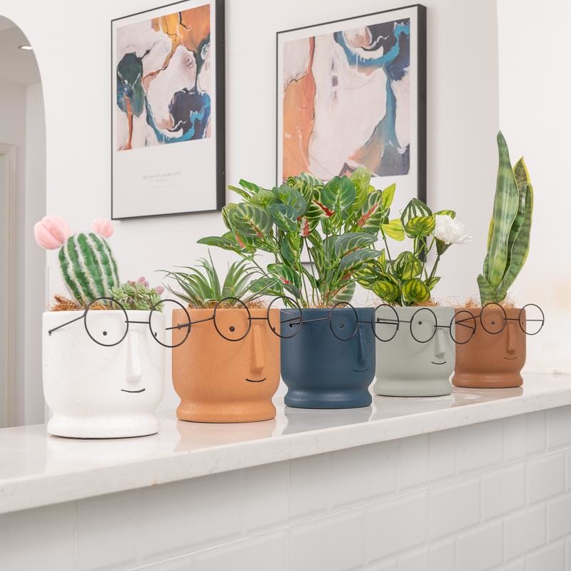 Plant nerd ceramic pots/planters | plant pots