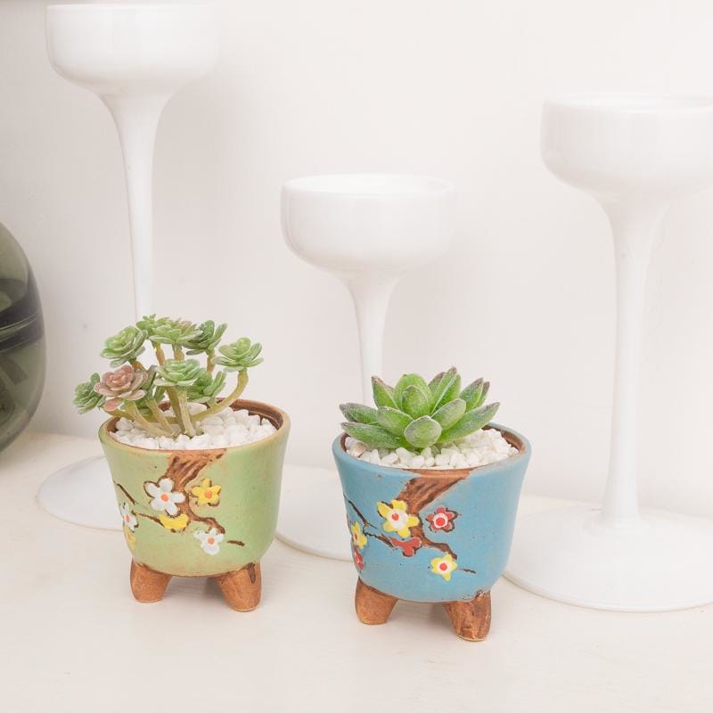 Smal footed glazed creamic plant pots/planters | plant pots