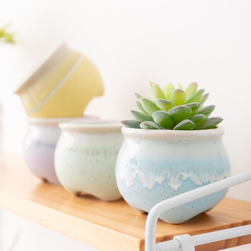 Small ceramic pots/planters - melting ice cream | plant pots