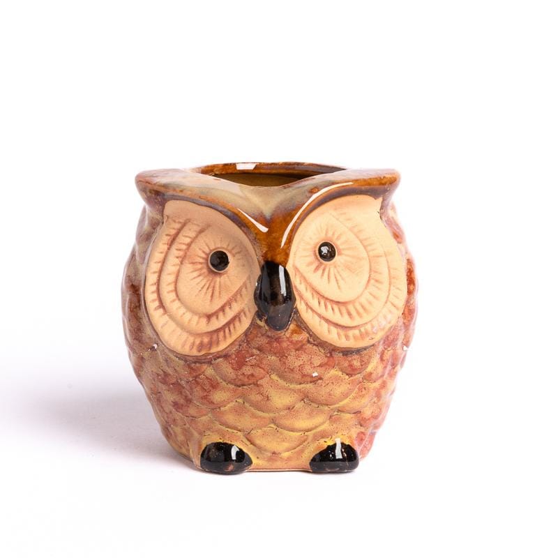 Small glazed ceramic planter - owl | plant pots