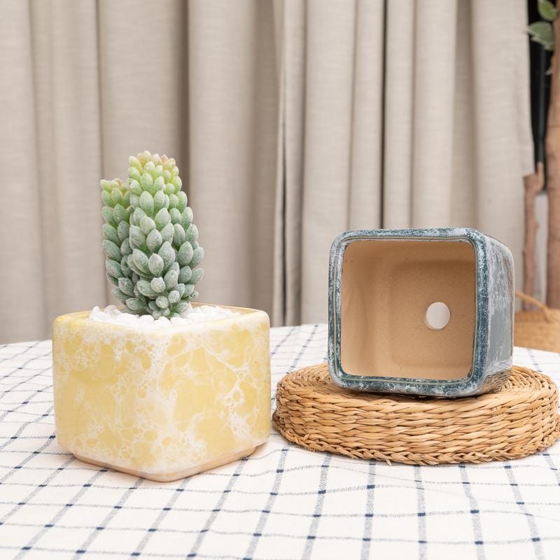 Square glazed creamic plant pots/planters | plant pots