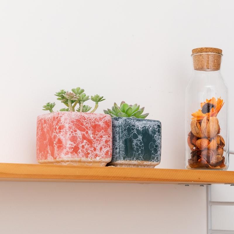 Square glazed creamic plant pots/planters | plant pots