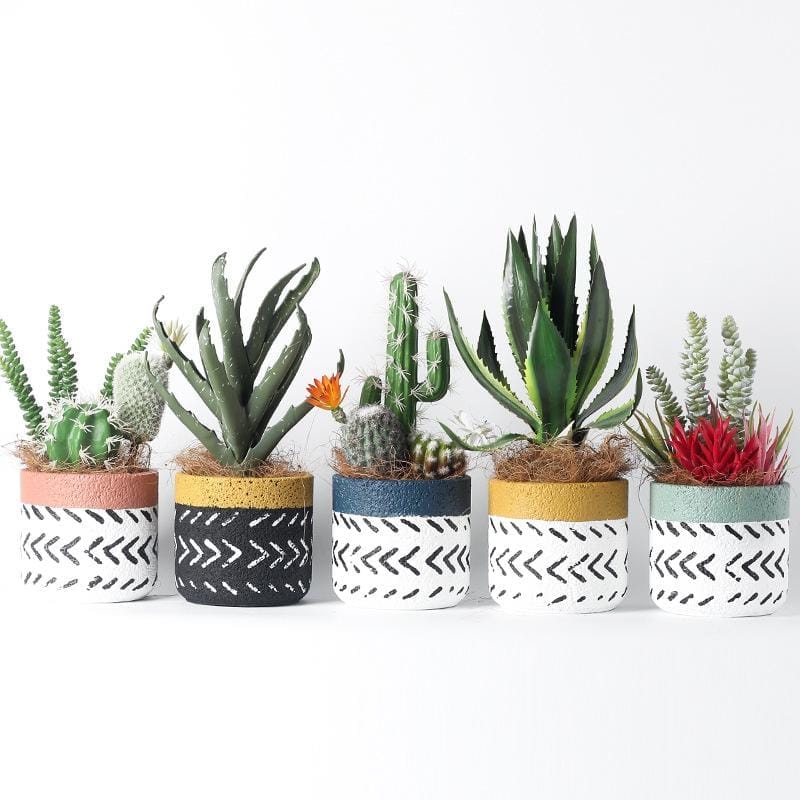 Two-tone geometric paint pots/planters | plant pots