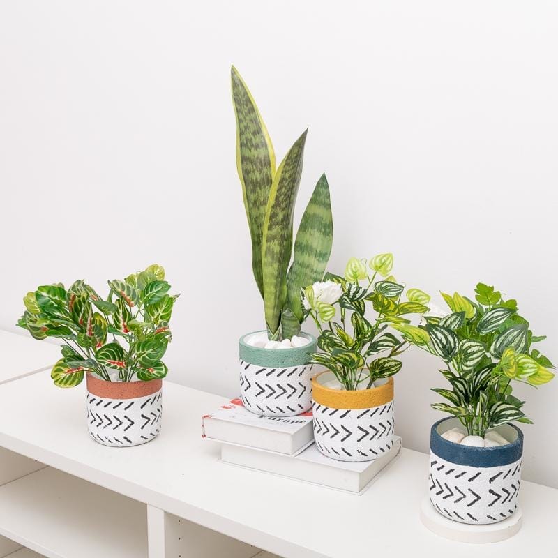 Two-tone geometric paint pots/planters | plant pots